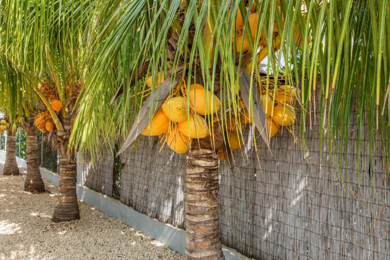 Paradise Apartments - Curacao Fontein Buitenkant foto